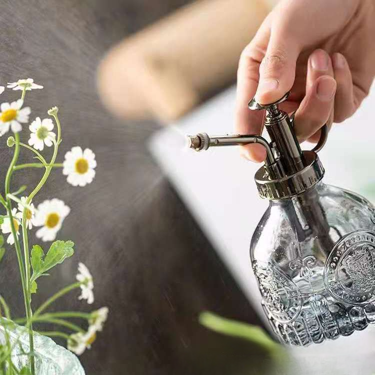 Antique Style Garden Sprayer: Perfect for Plant Care and Home Cleaning