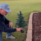 SolarGlow · Solar Christmas Tree Garden Stake Lights Outdoor Holiday Lawn Decorations
